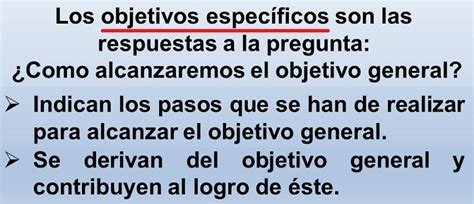 Ejemplo De Objetivos Espec Ficos