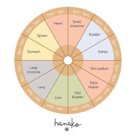 Five Element Meridian Chart