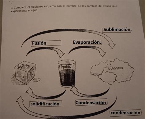 Completa El Siguiente Esquema Con El Nombre De Los Cambios De Estado