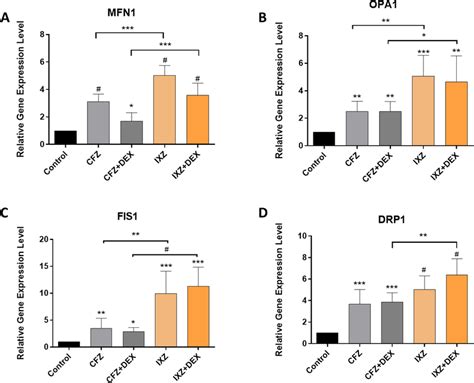 H9c2 Cardiomyocytes Were Treated With 100 Nm Cfz And 100 Nm Ixz Alone