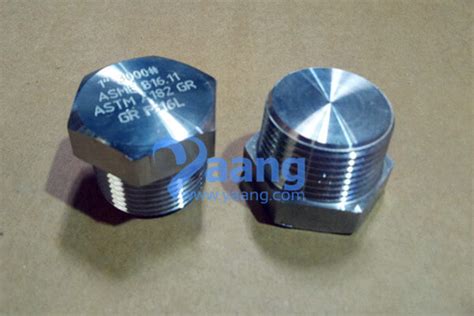 ASME B16 11 ASTM A182 EN 1 4404 Threaded Hex Head Plug DN25 CL3000