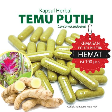 Temu Putih Kapsul Herbal Kemasan Hemat Isi Lazada Indonesia