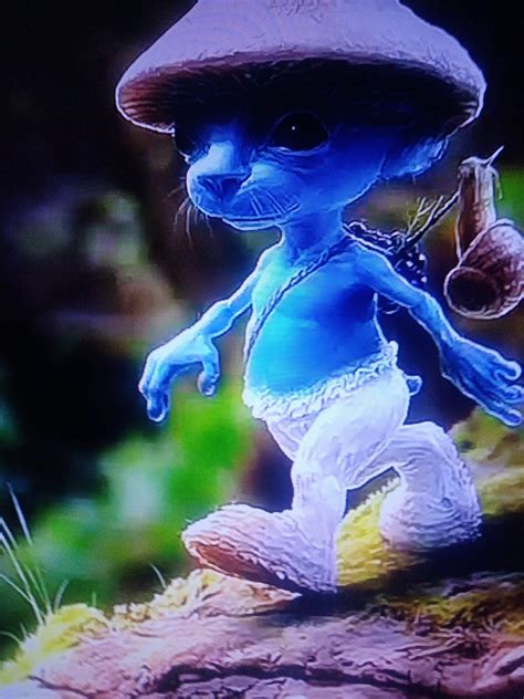 Smurf Cat is life #Smurfcat #shaylushay #welivewelovewelie #smurfing # ...