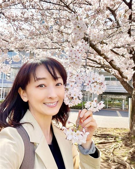 花總まりさんのインスタグラム写真 花總まりinstagram「おはようございます😃 昨日やっと満開の桜を見る事ができました🌸 桜は