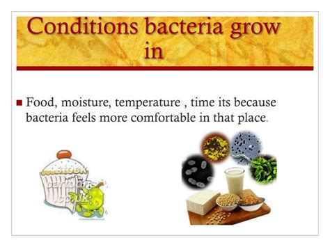 Ppt Bacteria Powerpoint Presentation Id5736334