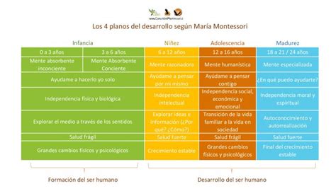 M Todo Montessori Comunidad Montessori