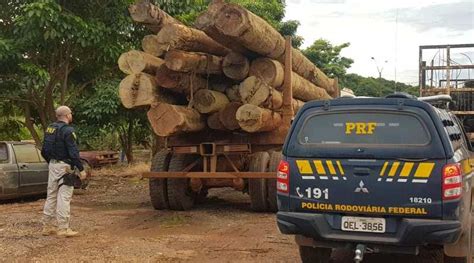 PRF apreende mais de 90 m³ de madeira ilegal no interior do Pará Pará