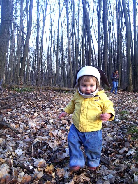 Walking In The Woods Clover Walks In The Woods Evan Long Flickr