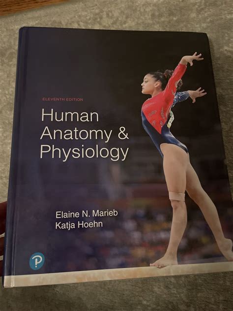 Human Anatomy And Physiology By Elaine N Marieb And Katja N Hoehn Hardcover Ebay