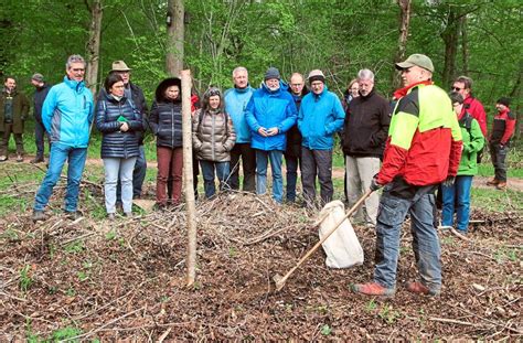 Lahr B Ume Leiden Unter Dem Klimawandel Lahr Schwarzw Lder Bote