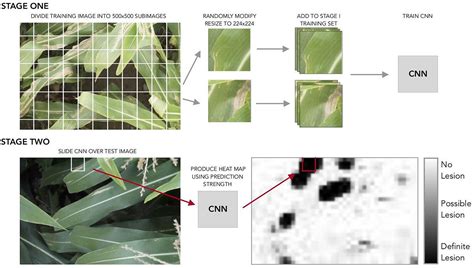 Autonomous Detection Of Plant Disease Symptoms Directly From Aerial