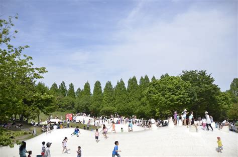 日本庭園 国営昭和記念公園公式ホームページ