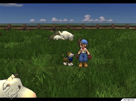 Tips Bermain Game Harvest Moon Save The Homeland 2024 Art Head Start