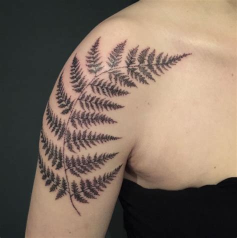 Fern Tattoo 43 Most Delicate And Creative Fern Tattoo Ideas Ever Created