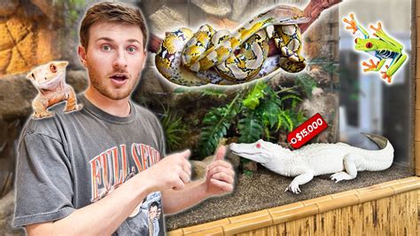 Massive Reptile Store Tour New Pet Youtube