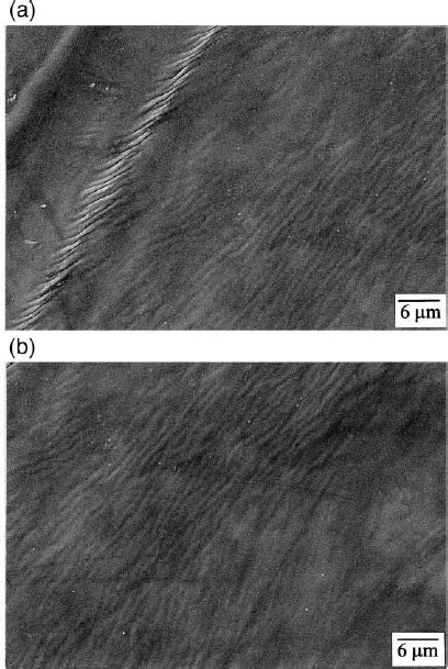 TEM Micrograph Showing The Microstructure Of The Untreated Specimen