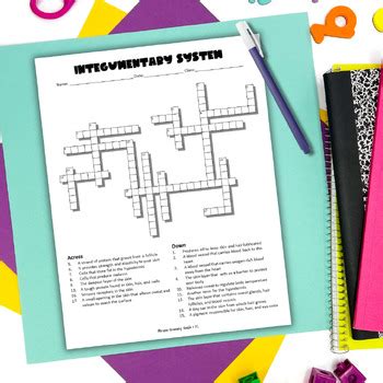 Integumentary System Crossword Puzzle By Morgan Hernandez Health And PE