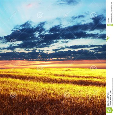 Autumn Field Stock Image Image Of Summer Rural Landscape 6122689