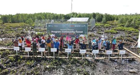 Pupuk Kaltim Dorong Pemulihan Lahan Bekas Tambang Di Kawasan Ikn