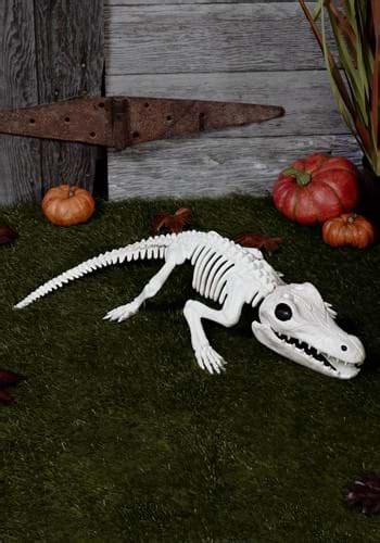 31-Inch Skeleton Crocodile Prop Decoration | Animal Skeletons