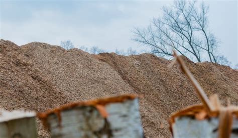 Big Pile Of Wood Shavings And Wood Mulch Stock Photo Image Of Energy