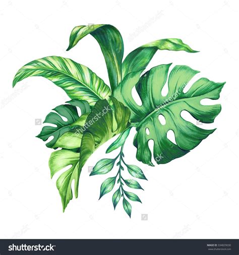 Tropical Leaves Green Watercolor