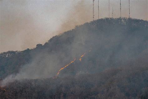 México Registra 120 Incendios Forestales Activos Un Incremento Diario