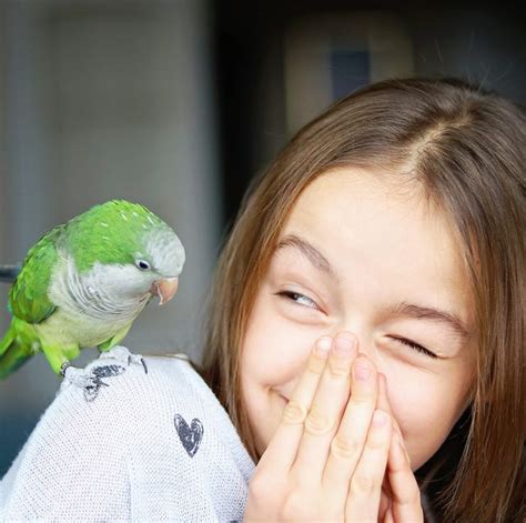 150 Best Bird Names - Bird Name Ideas