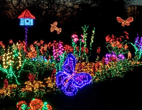 Garden d’Lights 2022 @ Bellevue Botanical Garden - The Ticket