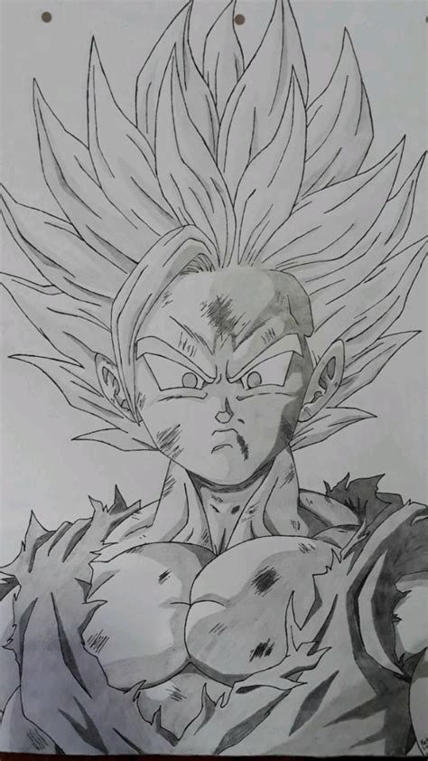 Dibujos De Son Gohan Para Colorear Vsun