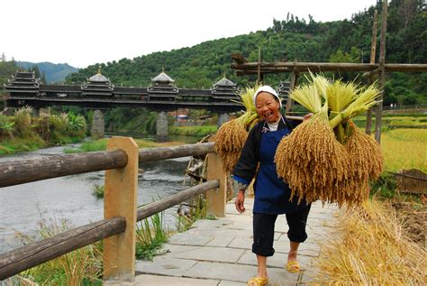 丰收的喜悦 程阳八寨 广西旅发三江通达旅游投资发展有限公司