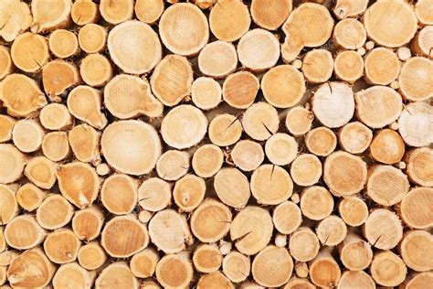 Wooden logs texture — Stock Photo © nd3000 #113922692