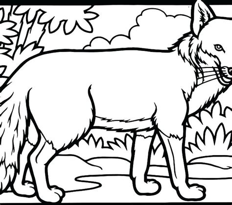 Furry Coloring Pages at GetColorings.com | Free printable colorings pages to print and color