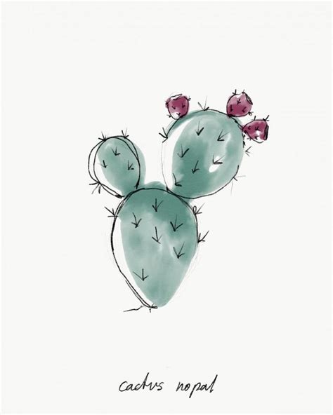 Stunning Botanical Illustration of Cacti