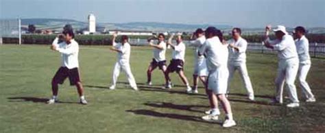 Mcc Do The Haka In Vienna Espncricinfo