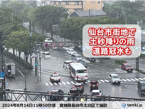 東北に活発な雨雲 午後も局地的大雨に警戒 16日・17日は台風7号で大荒れか気象予報士 神林 有希 2024年08月14日 日本気象