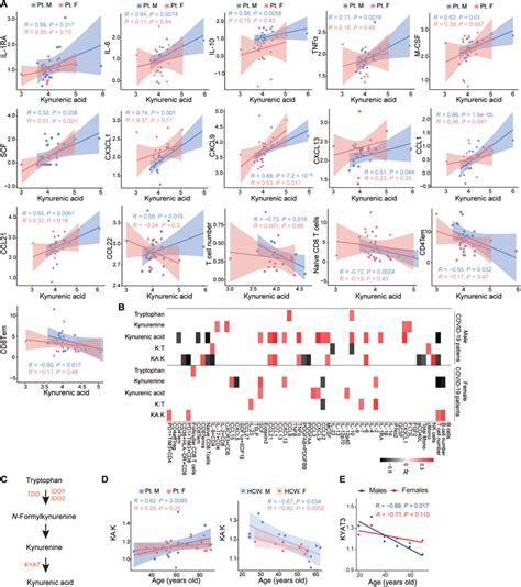 Tryptophan Pathway Metabolites And Immune Responses A Correlation