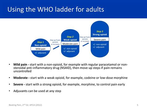 4 Who Analgesic Ladder Pptx