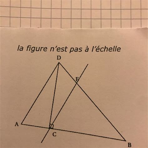 Sur La Figure Ci Contre Le Triangle DCB Est Rectangle En C Les