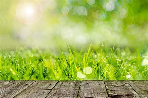 HD wallpaper: green grasses digital wallpaper, background, gardening, spring | Wallpaper Flare