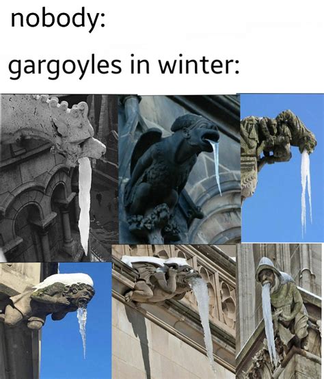 Gargoyles: blaaaaaarrghhhhh : r/memes