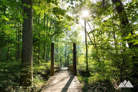 Jones Bridge Park Trail at the Chattahoochee River