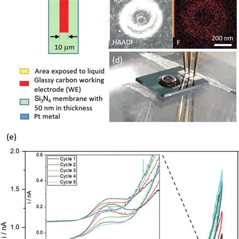 A Lctem Chip For In Situ Liquid Tem Measurements The Small And Thin Download Scientific