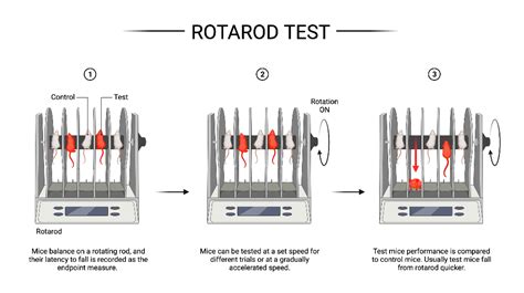 Rotarod Test For Mice Biorender Science Templates