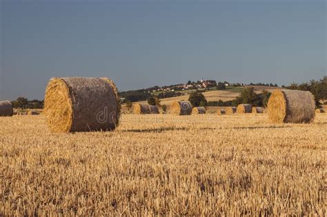 Straw Bales On A Stubble Field Stock Image Image Of Grain Beautiful