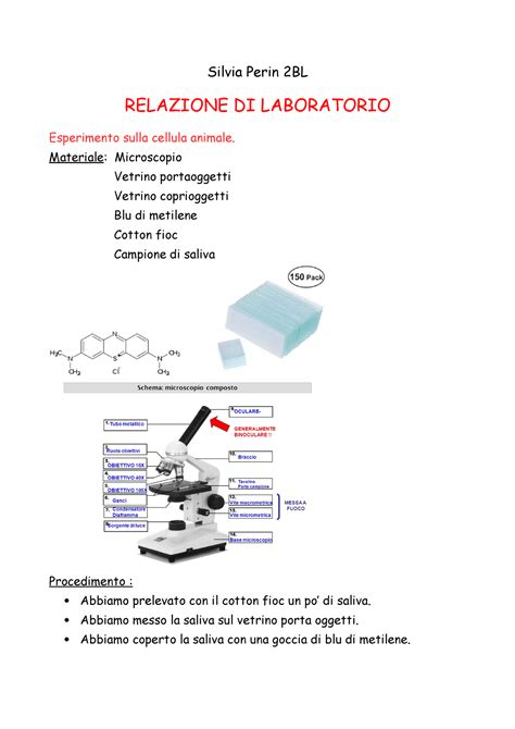 Relazione Di Laboratorio Silvia Perin Bl Relazione Di Laboratorio