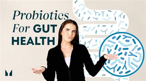 The Benefits Of Probiotics Improve Your Gut Health Nutritionist