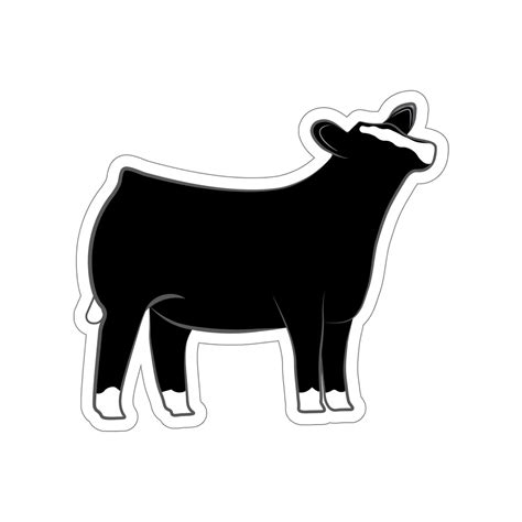 Show Steer Outline White