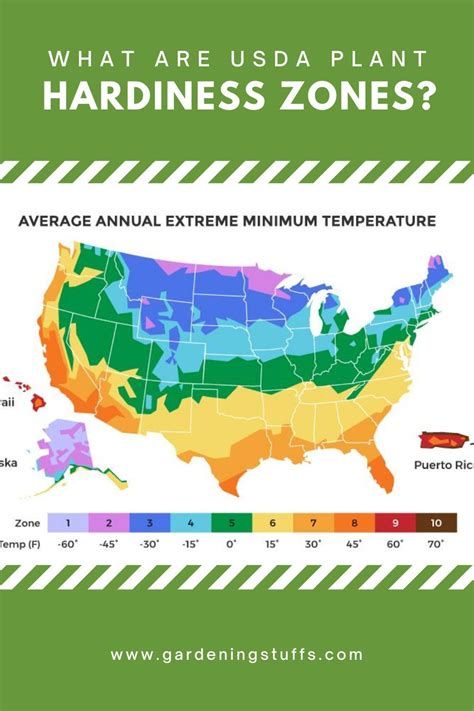 Usa Map Of Planting Zones Map Of World Sexiz Pix