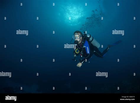 Male Scuba Diver Swim Near Coral Reef Stock Photo Alamy